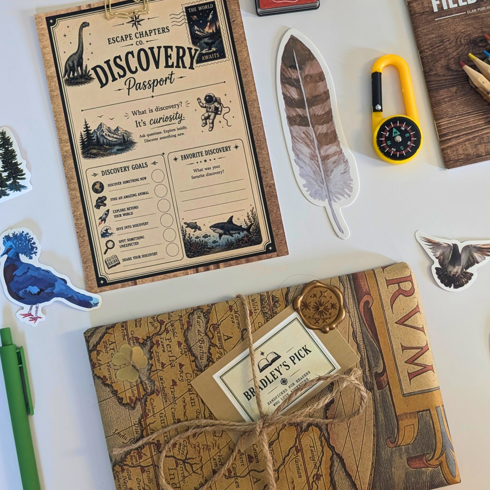 Discovery Treasure Adventure