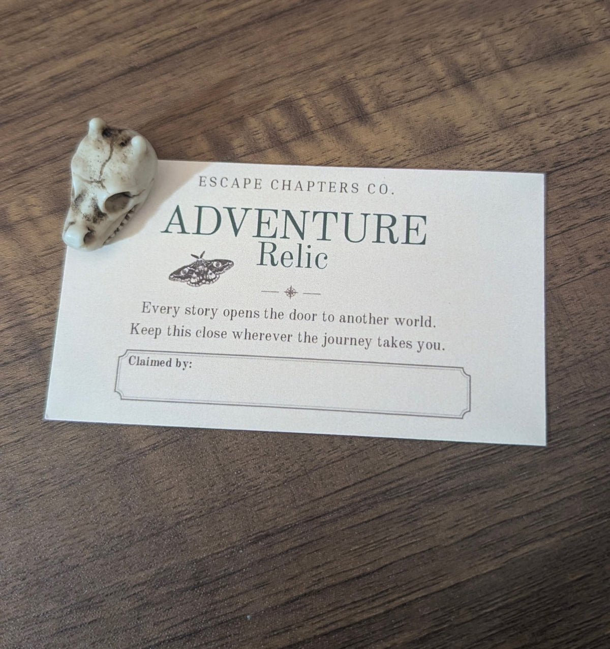 Enchanted Adventurer • Ages 9–12
