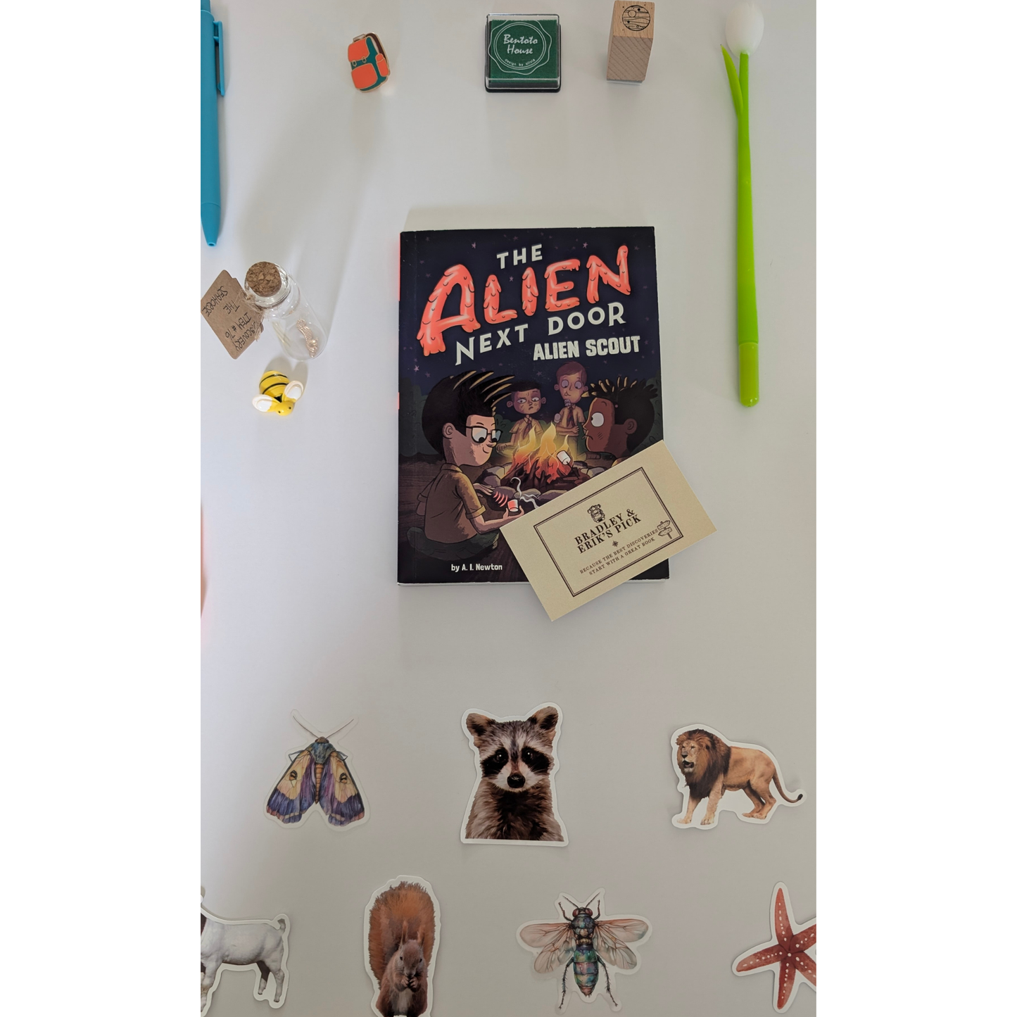 Discovery Reading Adventure