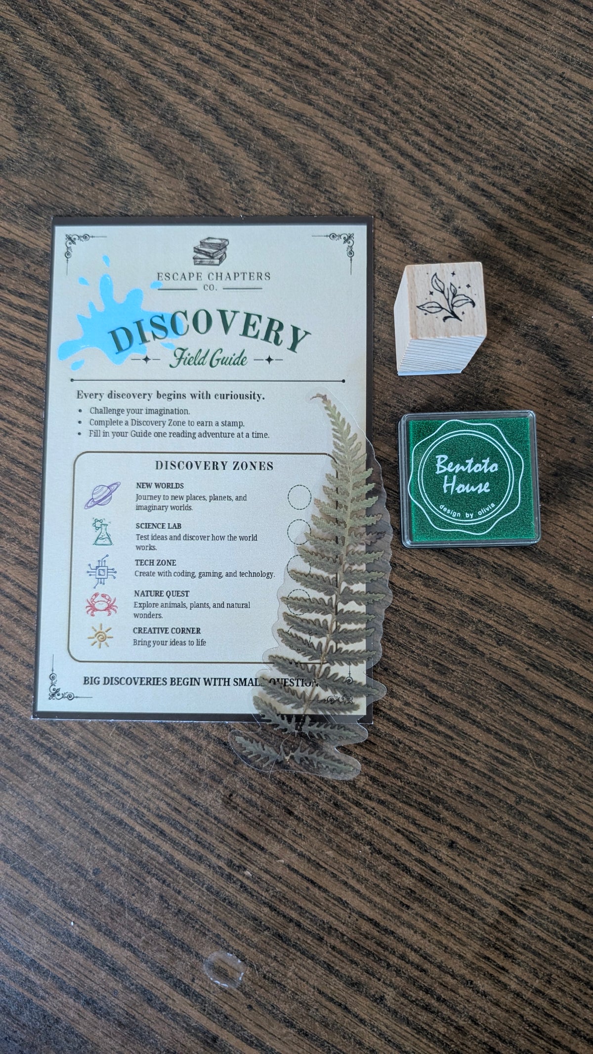 Curious Explorer • Ages 6–8